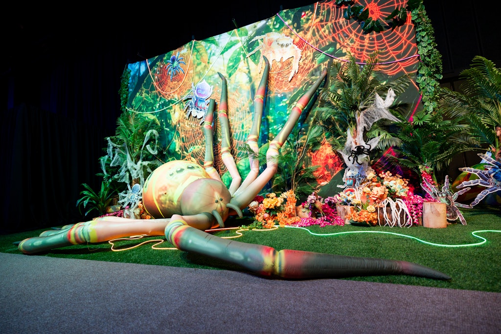 Jungle Magic Rand Show 2026_2